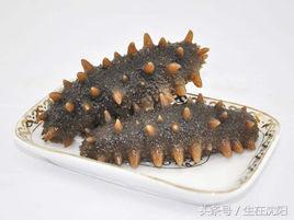 辽参的正宗照片大全,辽参野生图片大全