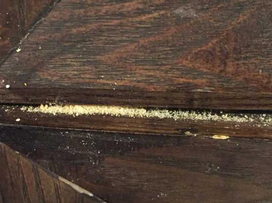 男童误饮农药交警送医,孩子误食杀虫粉怎么办