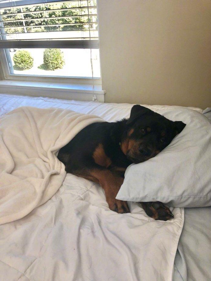 打五元麻将被拘15天,打5元的麻将被拘留了15天