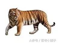 中药二中成药考点总结,中药一考点背诵技巧