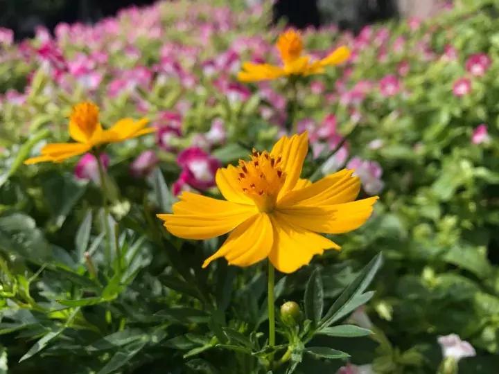 文史必背100个常识,最好的文史常识