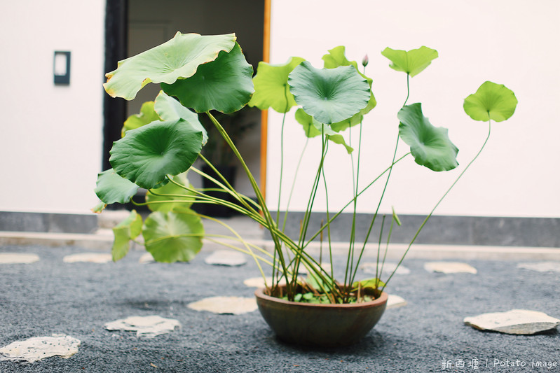 杭州两天一夜旅游西塘攻略,周庄同里乌镇西塘小桥流水