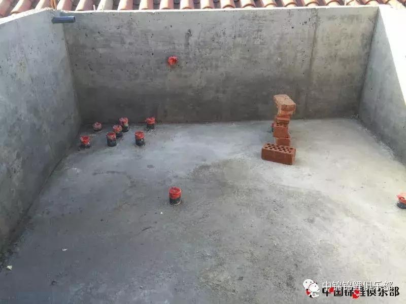 楼顶鱼池有哪些,屋顶鱼池的建造方法