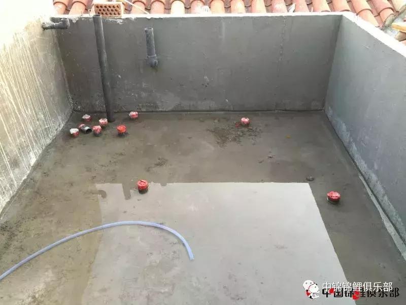 楼顶鱼池有哪些,屋顶鱼池的建造方法