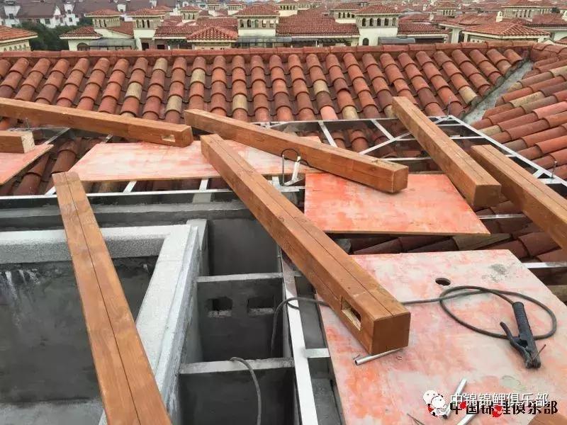 楼顶鱼池有哪些,屋顶鱼池的建造方法