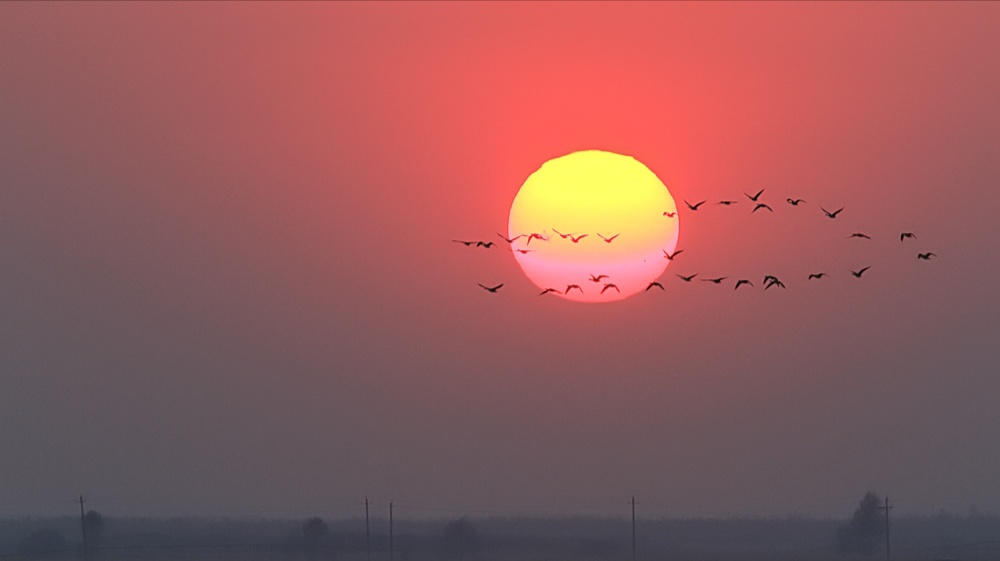 创作原声最远的你是我最近的爱,最远的你是我最近的爱烟嗓