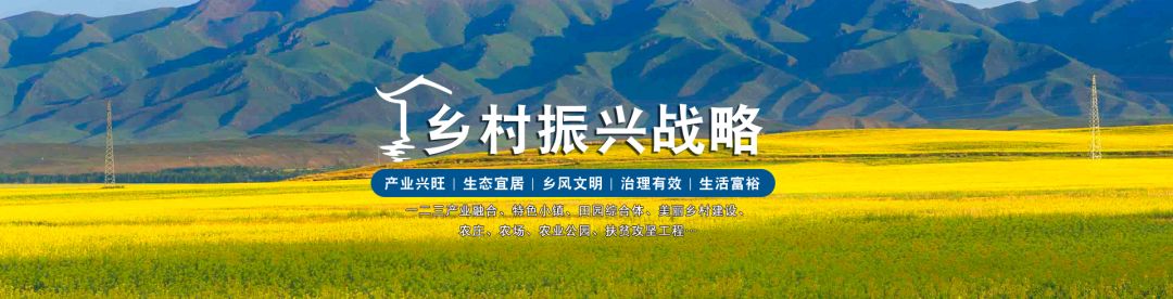 草产业在乡村振兴中有何机遇,乡村振兴创业机会