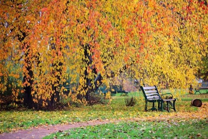 国庆伏尔加庄园,哈尔滨伏尔加庄园三日游