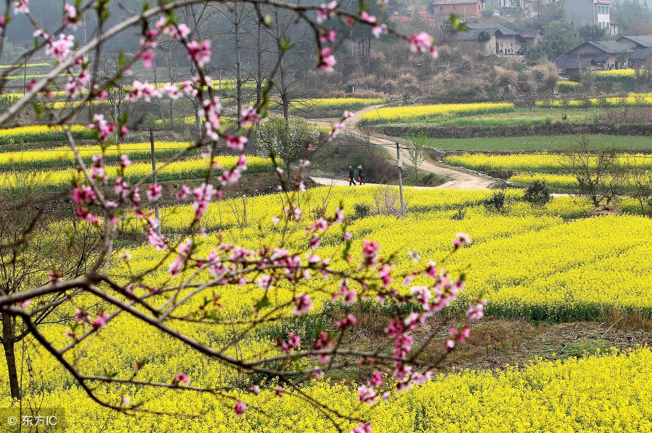 中考满分作文共度时光,共度好时光初三作文
