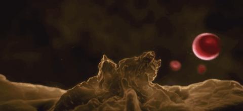 明明是科普纪录片，主持人却用自己的血做起了“暗黑美食”