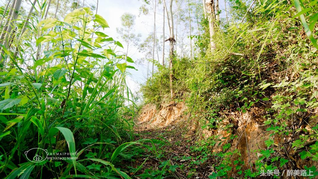 始兴的红梨古村,韶关红梨村风景区