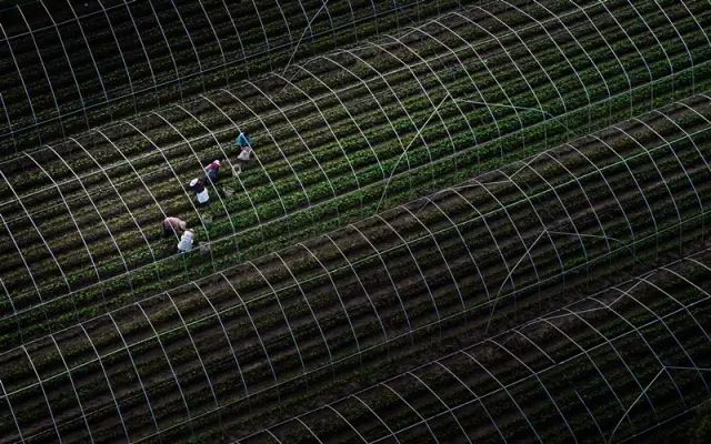 崇明旅游小镇,印象崇明岛