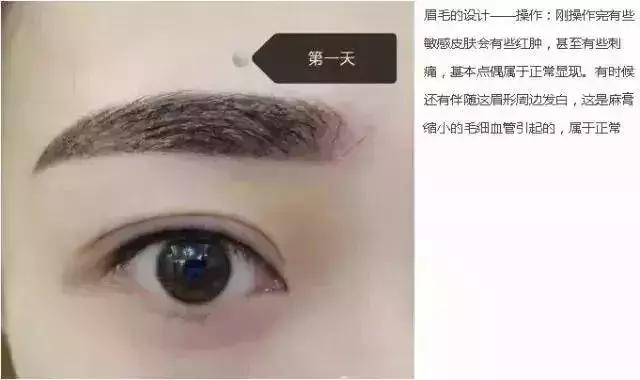 纹眉后一周眉毛变化过程,纹眉后1到七天的变化图