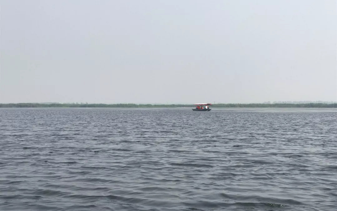 下站该往哪里去,下站了该去哪