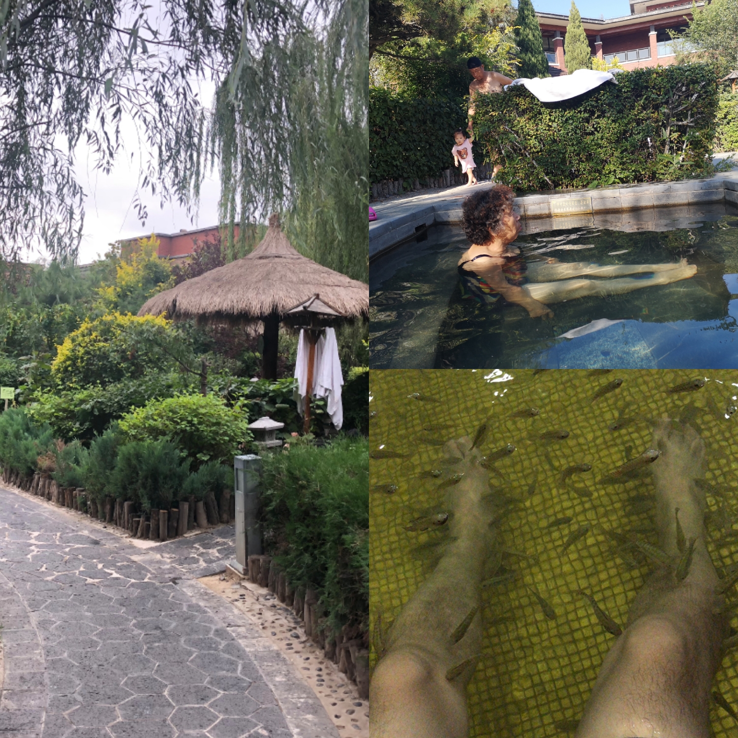 以秋会友菱近自然——沈阳华之菱金秋之旅欢乐行