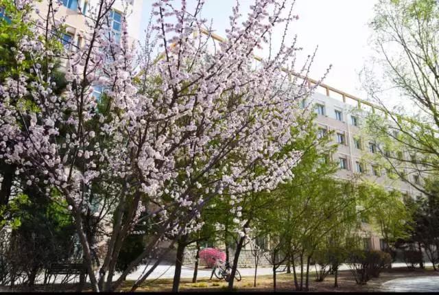 辽大毕业生真实就业,辽大本科毕业要求