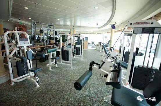 健身房*局骗**：养猪圈钱，月入百万