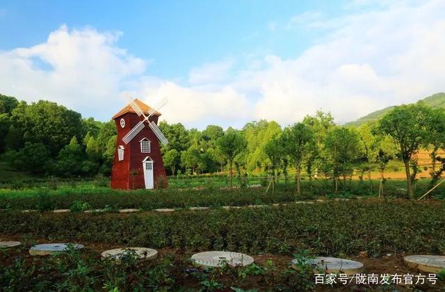 陇南市乡村振兴现状,乡村振兴乡村新变化