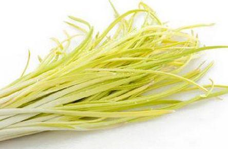 清朝正白旗旗人金鱼养殖心经:《虫鱼雅集》(下)