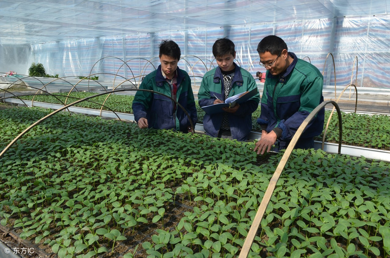 创业故事站：他“饲花弄草”，打造“花园式”村庄