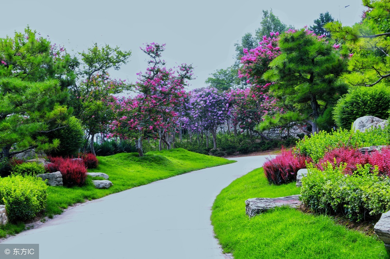 创业故事站：他“饲花弄草”，打造“花园式”村庄