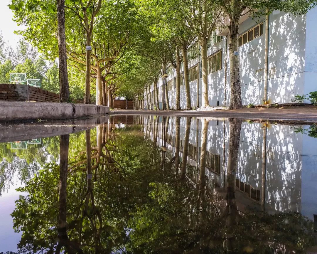 拥有一面神奇的魔镜,有一个魔镜可以测一下你的脸型