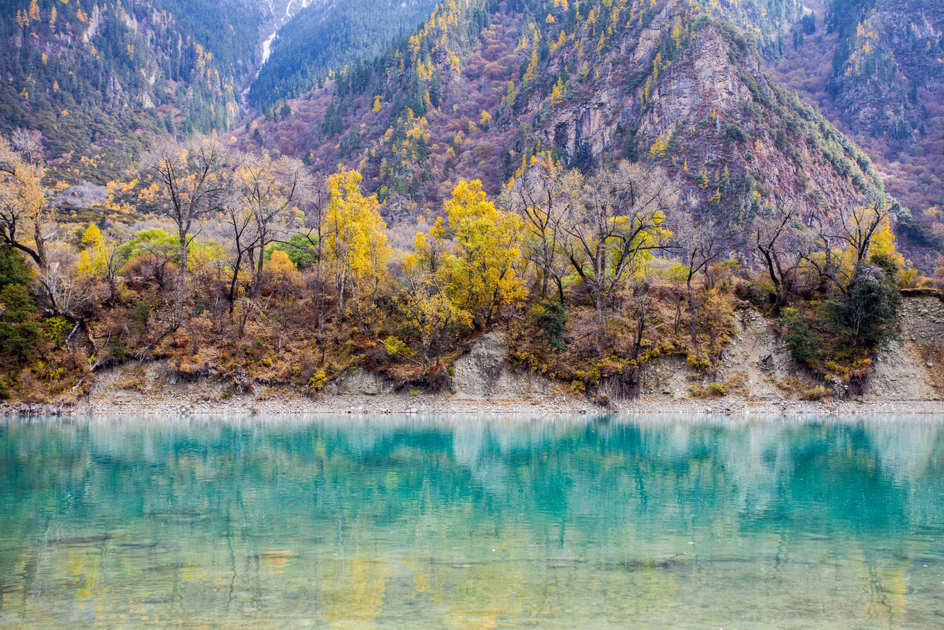 *藏西**一场阔别已久的重逢