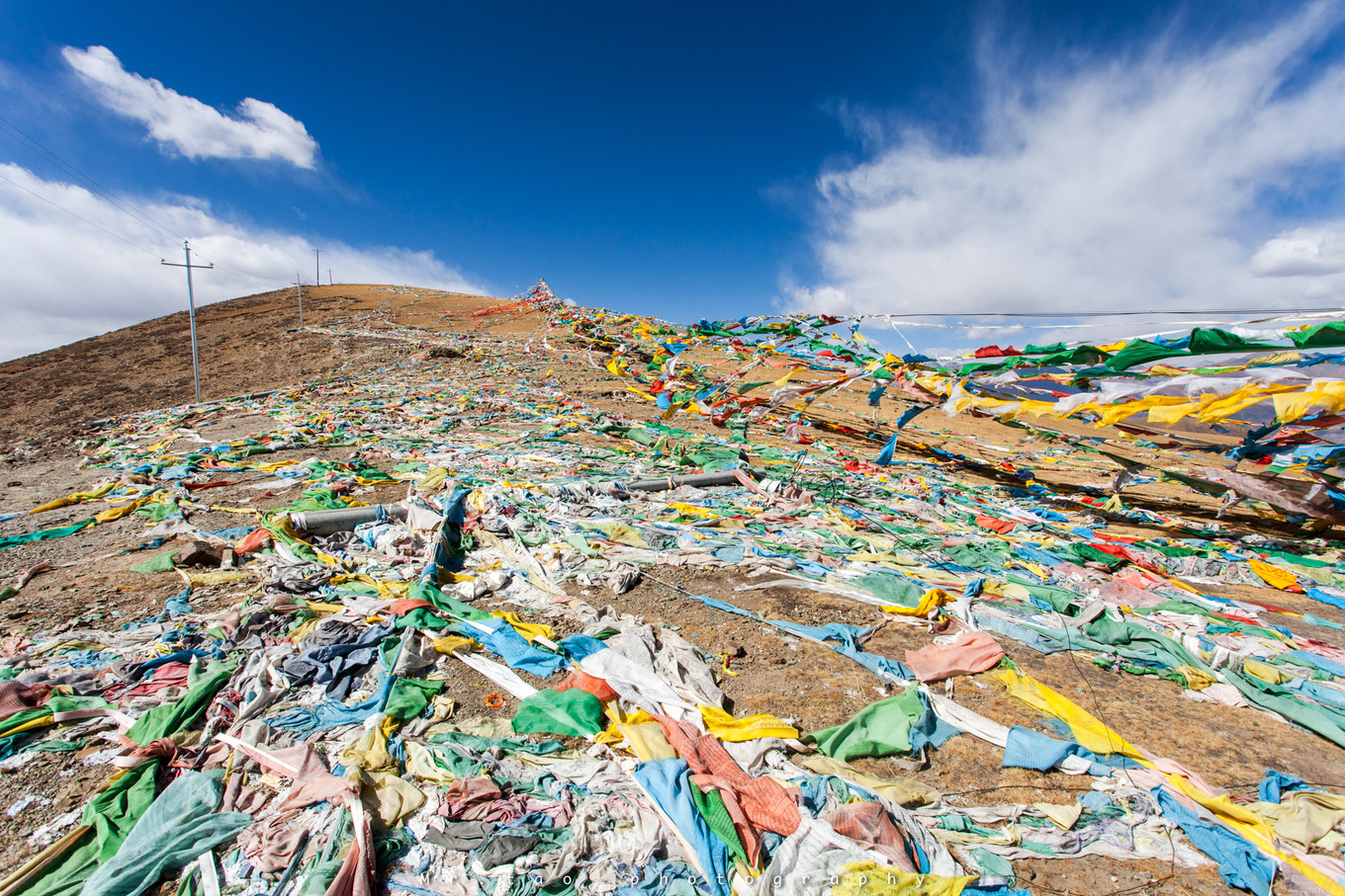 *藏西**一场阔别已久的重逢
