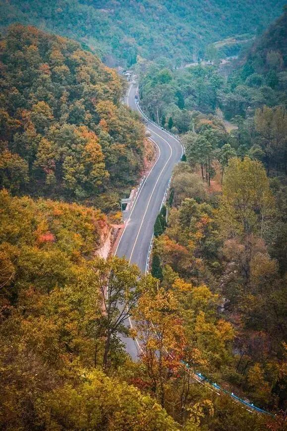 河南十大最美公路自驾游,河南自驾最漂亮的风景