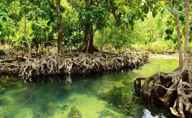 马来西亚沙巴度假海岛,马来西亚的沙巴