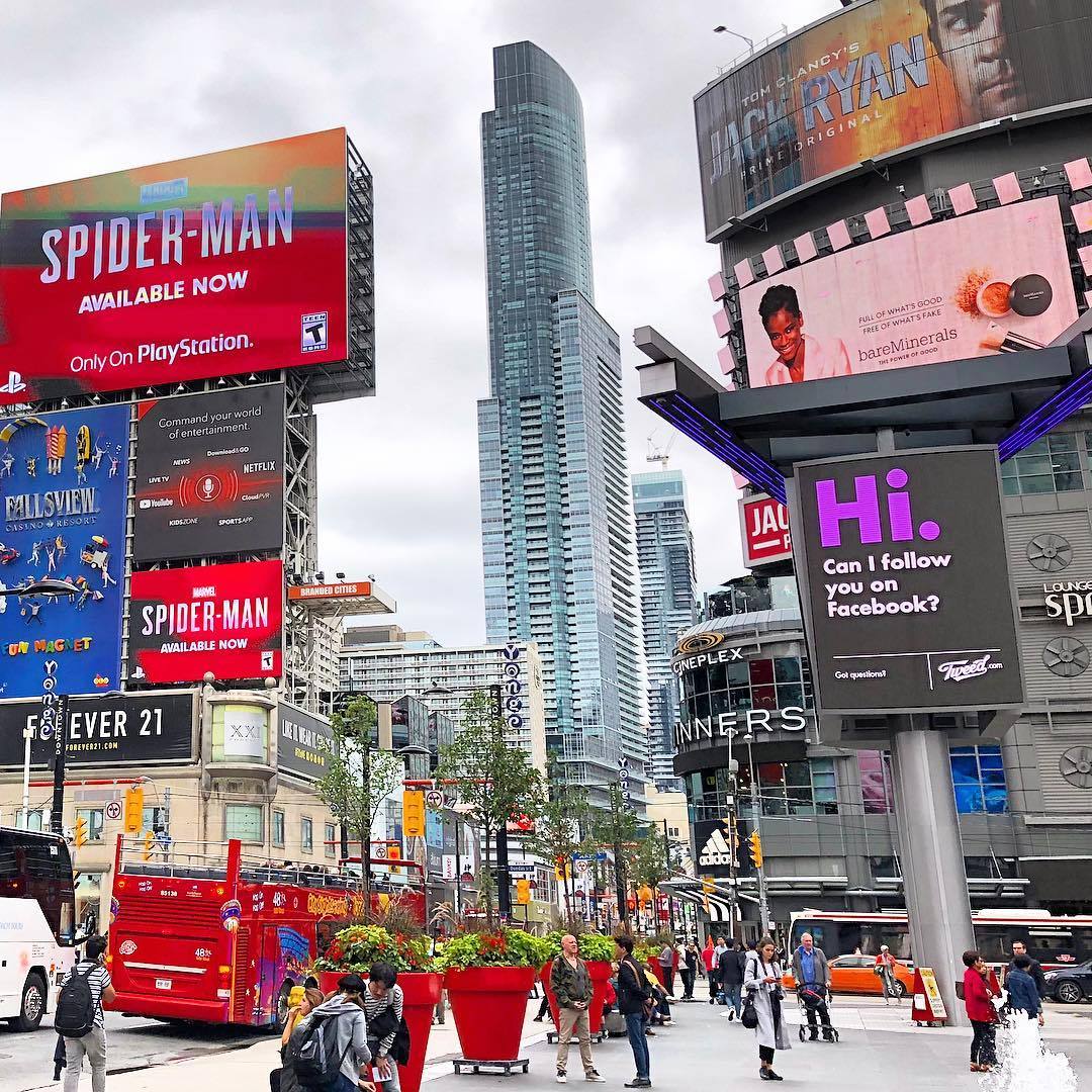 城市风景多伦多,多伦多的城市风景
