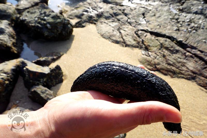 泰国小众岛屿沙美岛,泰国小众岛屿日落