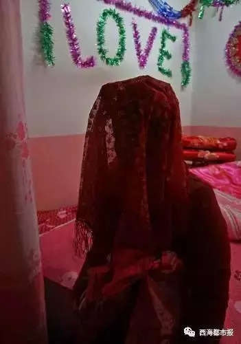 青海十大怪事完整视频,青海十大怪树