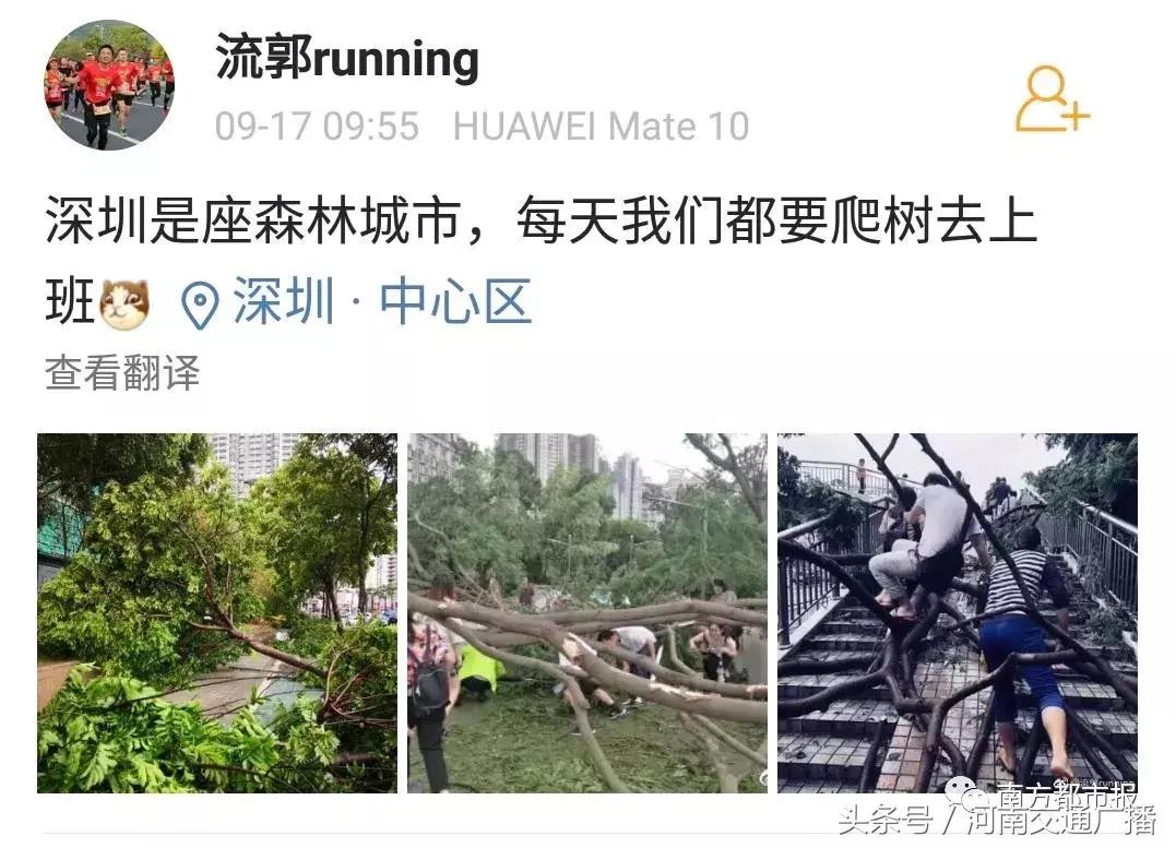 “山竹”过后首个工作日：广东人爬树都要去上班！