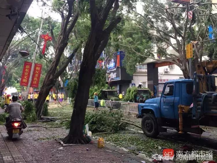 “山竹”过后首个工作日：广东人爬树都要去上班！