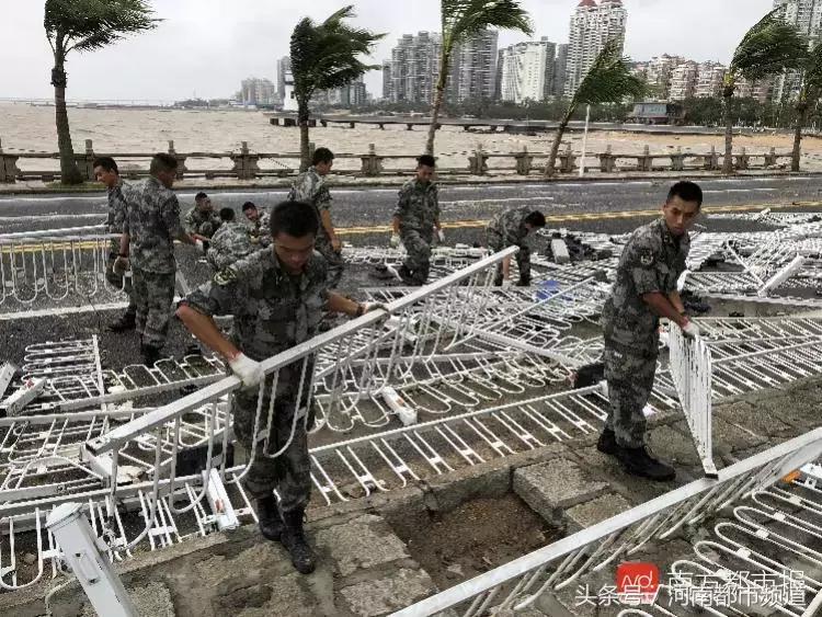 “山竹”过后首个工作日：广东人爬树都要去上班！