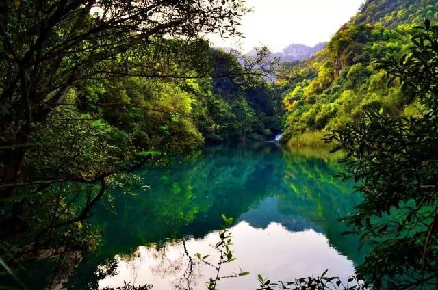 自驾游贵州荔波攻略最新,贵州自驾游万峰林黄果树瀑布荔波