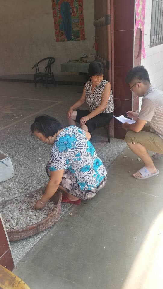 关于中小学教育的‘天平倾斜’问题调研陕西兴平市为例的调查报告