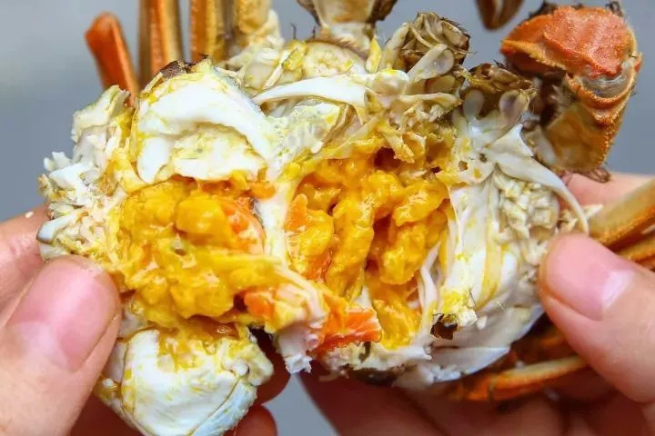 「团购」中秋送礼必备！价格低质量好的阳澄湖大闸蟹要去哪里买呢？这只来自阳澄湖的鲜活大闸蟹肥美爆膏正当时，错过等一年！