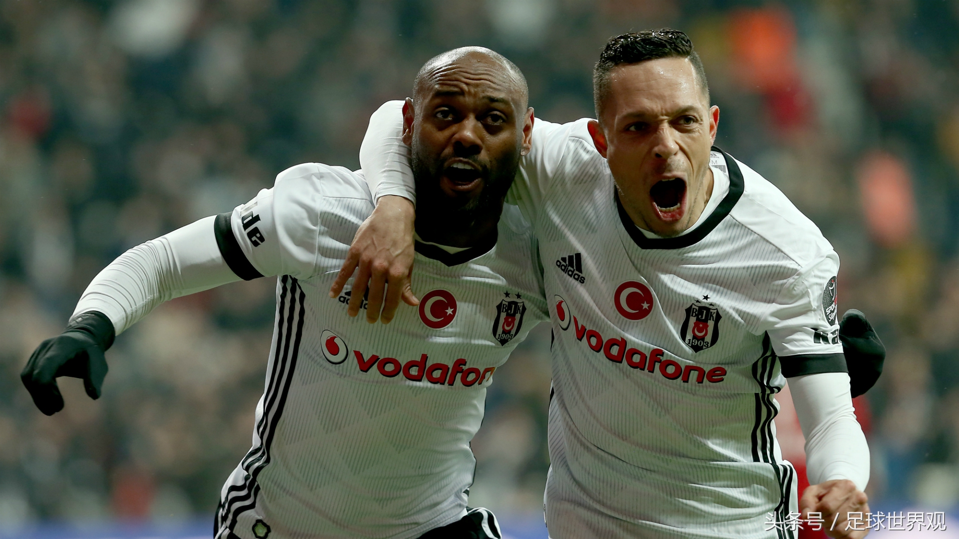 37宀佺殑浣╀僵,浣╀僵宸磋惃鐢熸动