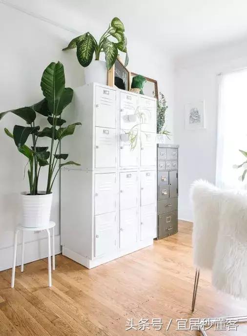 美国女孩改造旧木屋,时尚靓丽国外60年代老公寓改造