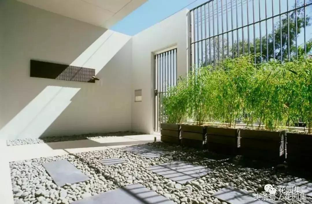 庭院栽什么树风水好,庭院最好的风水布局