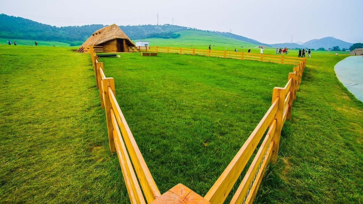 那些留在大城市的人都怎样了,在大连待过的人