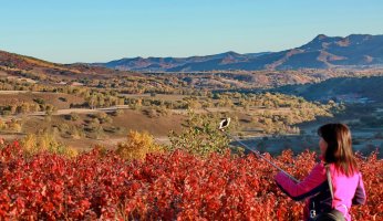 金秋坝上草原摄影,坝上秋天摄影攻略