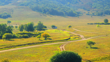 金秋坝上草原摄影,坝上秋天摄影攻略