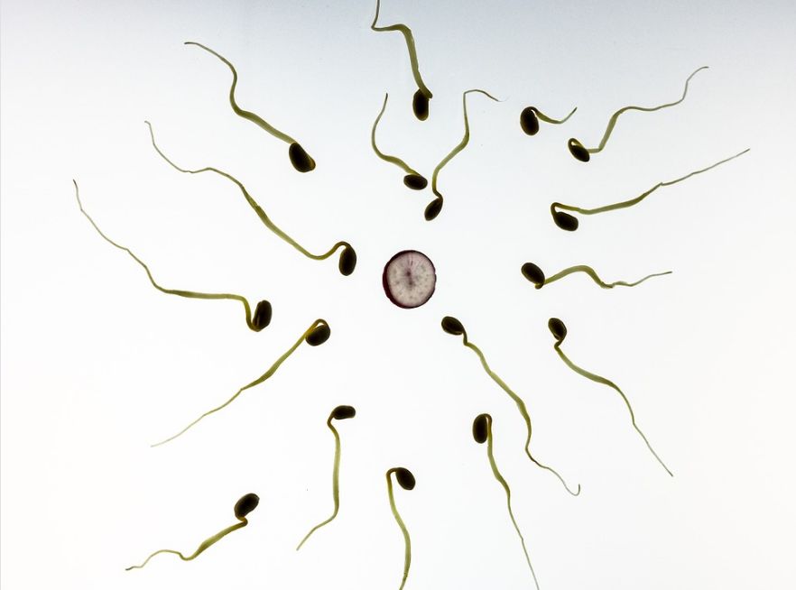 小蝌蚪活力低吃什么药比较好,小蝌蚪活力差用吃药吗