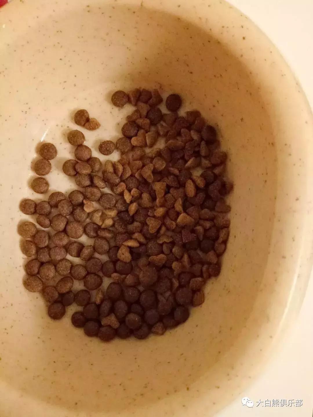 现在买的狗粮都有毒吗,人吃狗粮靠谱吗