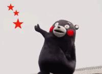 烟台苹果节大赛,烟台苹果节第几届