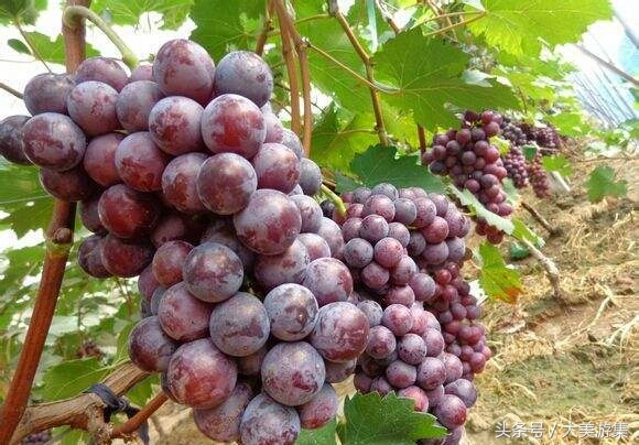 舌尖上的美食之面食,宿州十大特产小吃