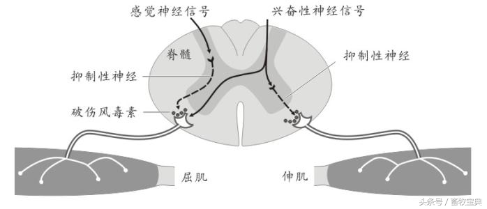 养牛跟我学第一篇第二章第二节